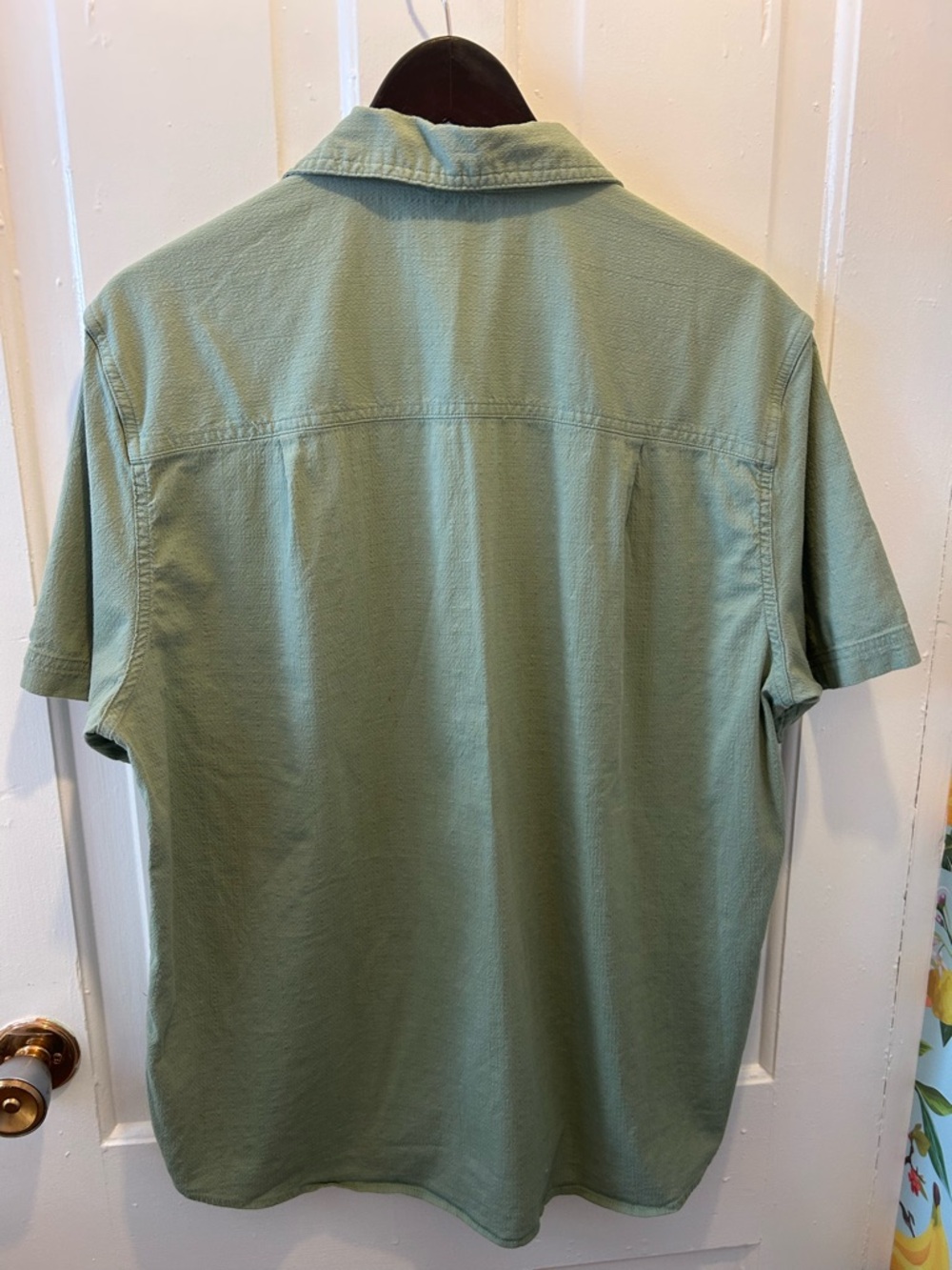 Sierra Designs Men's Short-Sleeve Button-Down Shirt in Sage Green - Picture 4 of 6